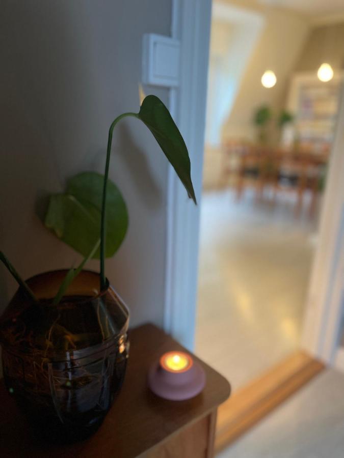 Charming Apartment In Alesund Center With Free Parking Buitenkant foto
